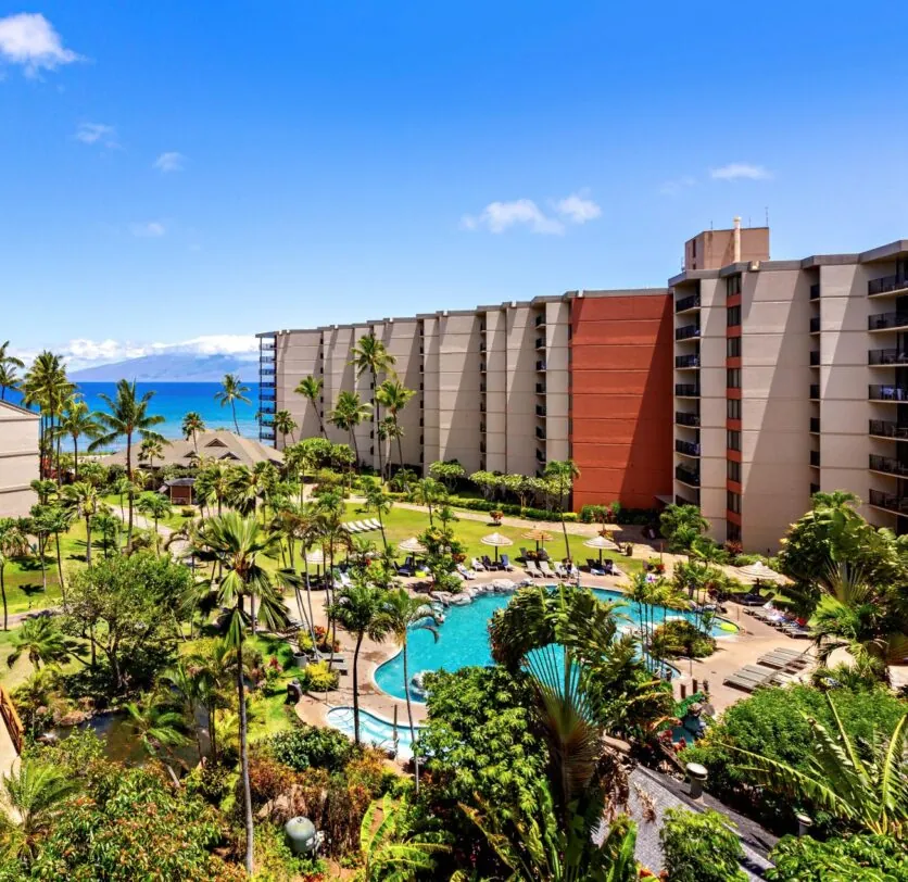 Tropical resort with palm trees, gardens, a swimming pool, and tall buildings overlooking the ocean under a clear blue sky.