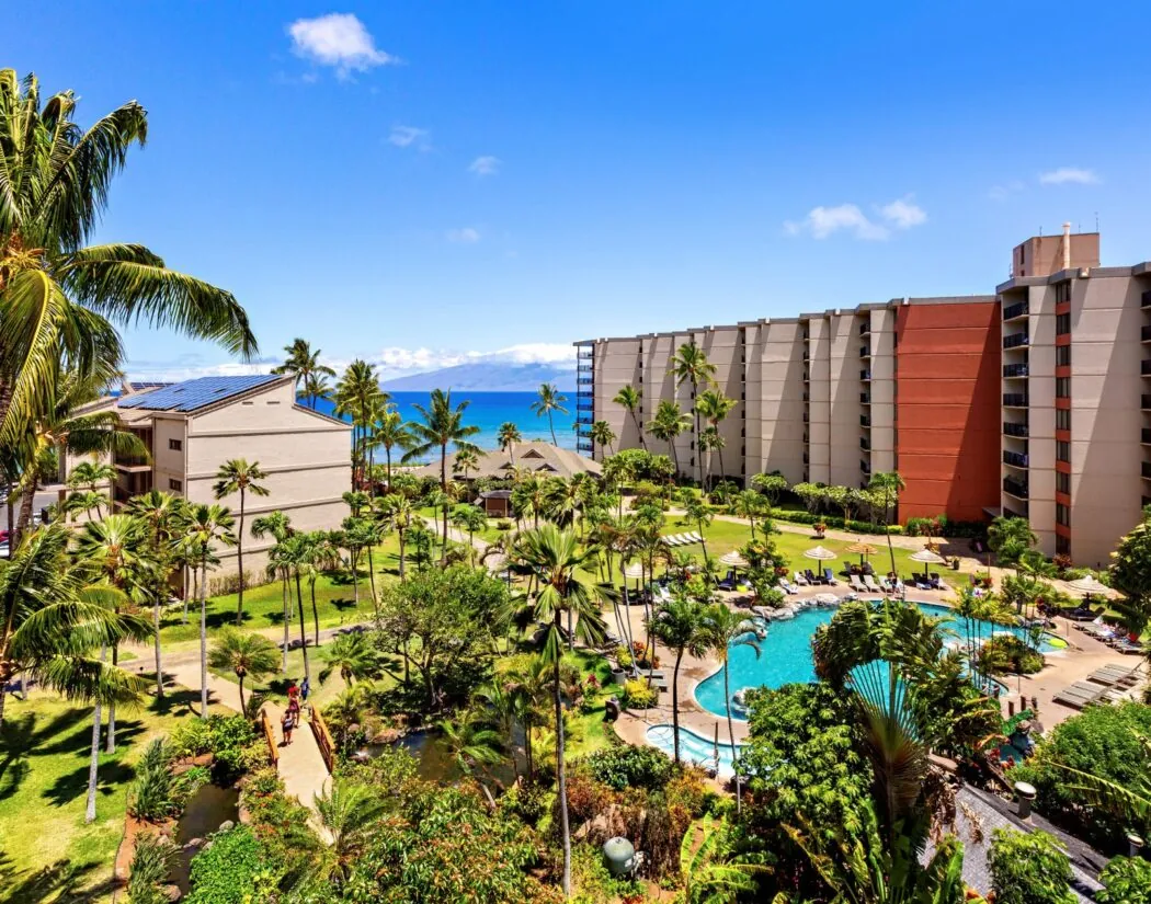 Tropical resort with palm trees, lush gardens, a pool, and lounge chairs, with mid-rise buildings and an ocean view under a clear blue sky.