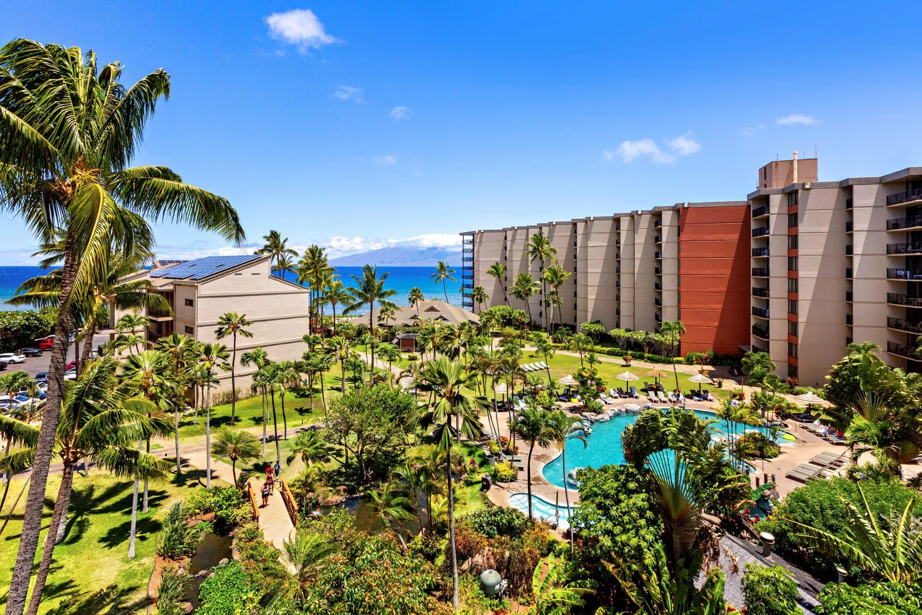 Tropical resort with palm trees, lush gardens, a pool, and lounge chairs, with mid-rise buildings and an ocean view under a clear blue sky.