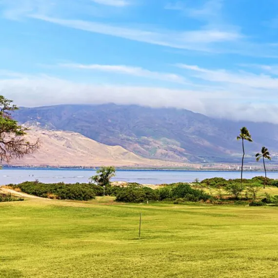 A lush green field with palm trees, a calm body of water, and mountains in the background under a bright blue sky with scattered clouds.