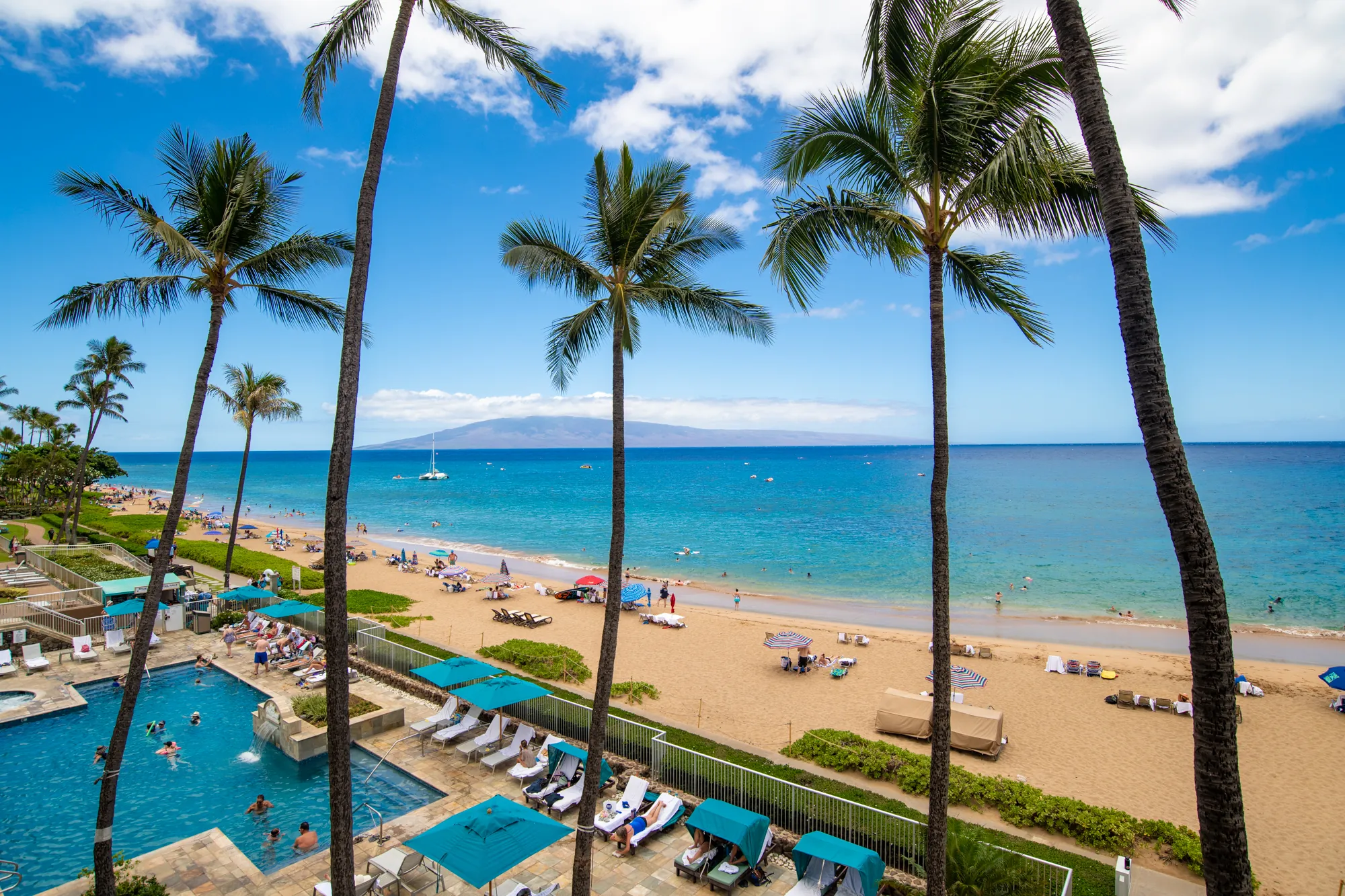 Palm trees and lounge chairs surround a pool by a sandy beach with calm blue ocean waters and people relaxing under a sunny sky.