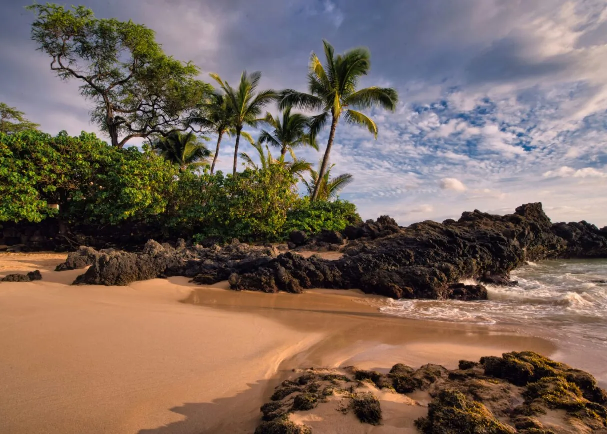Sandy beach with palm trees and lush greenery, dark volcanic rocks, gentle waves, and a partly cloudy sky at sunset.