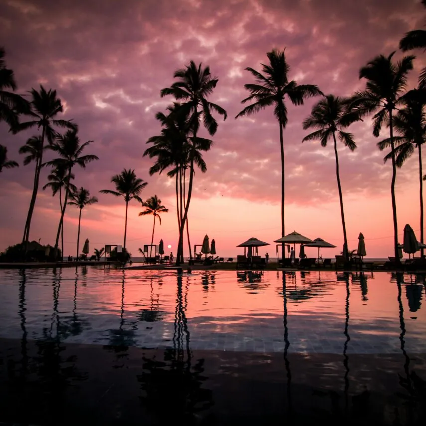 Tall palm trees and poolside loungers are reflected in still water at sunset, under a dramatic purple and pink sky.