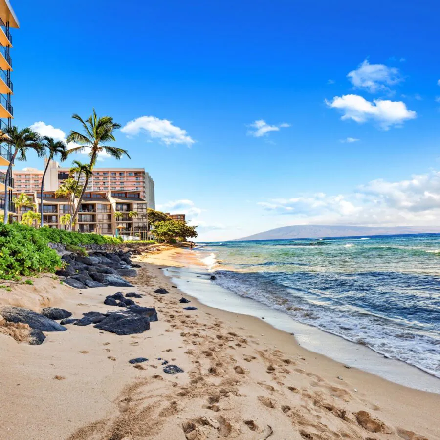 Sandy beach with palm trees, ocean waves, and beachfront hotels under a bright blue sky with scattered clouds.
