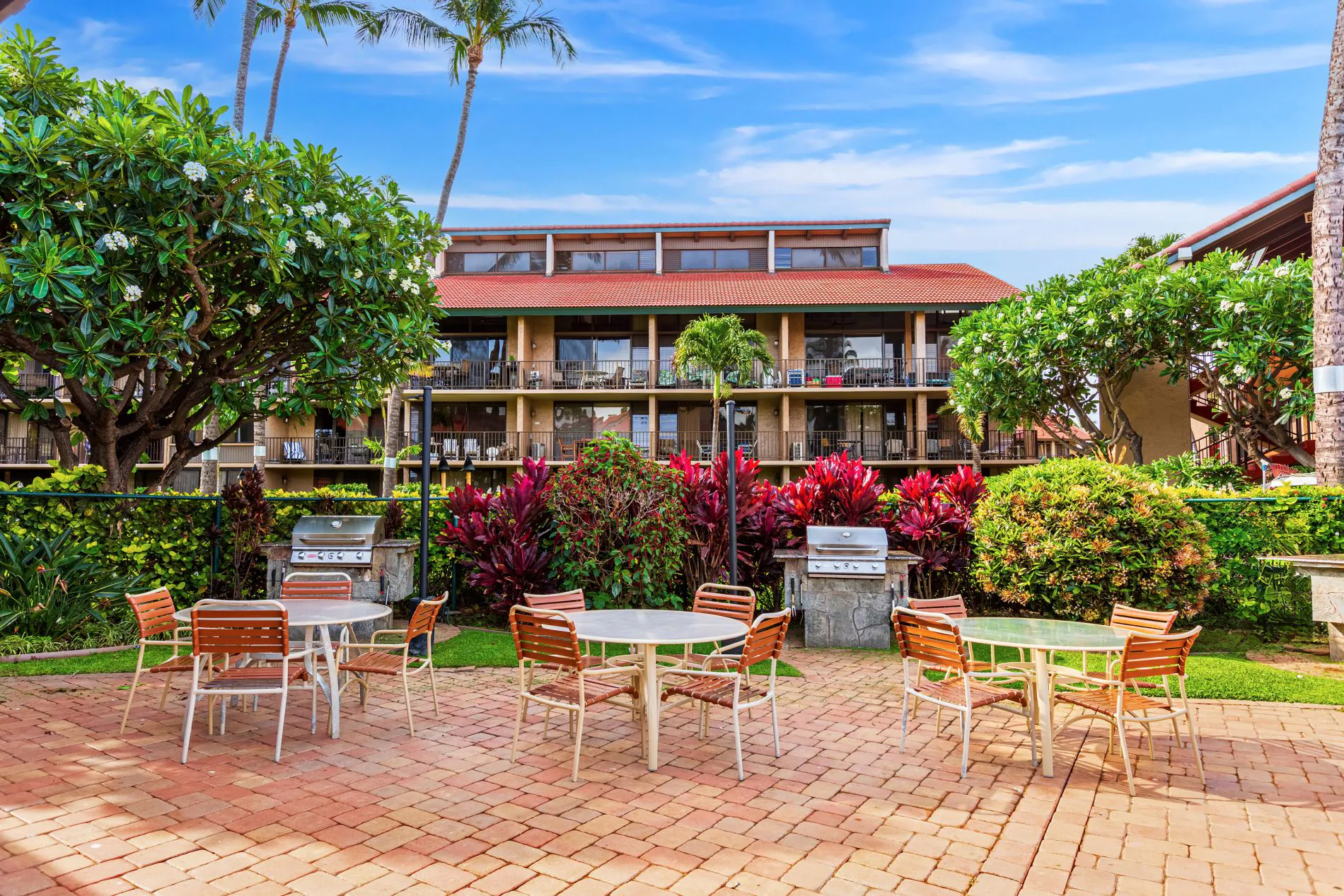 Outdoor patio with round tables and chairs, surrounded by lush plants and palm trees, in front of a multi-story building under a blue sky.