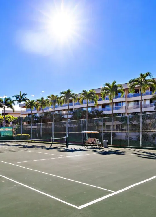 Sunny day on an outdoor tennis court with palm trees and a hotel building in the background under a clear blue sky.