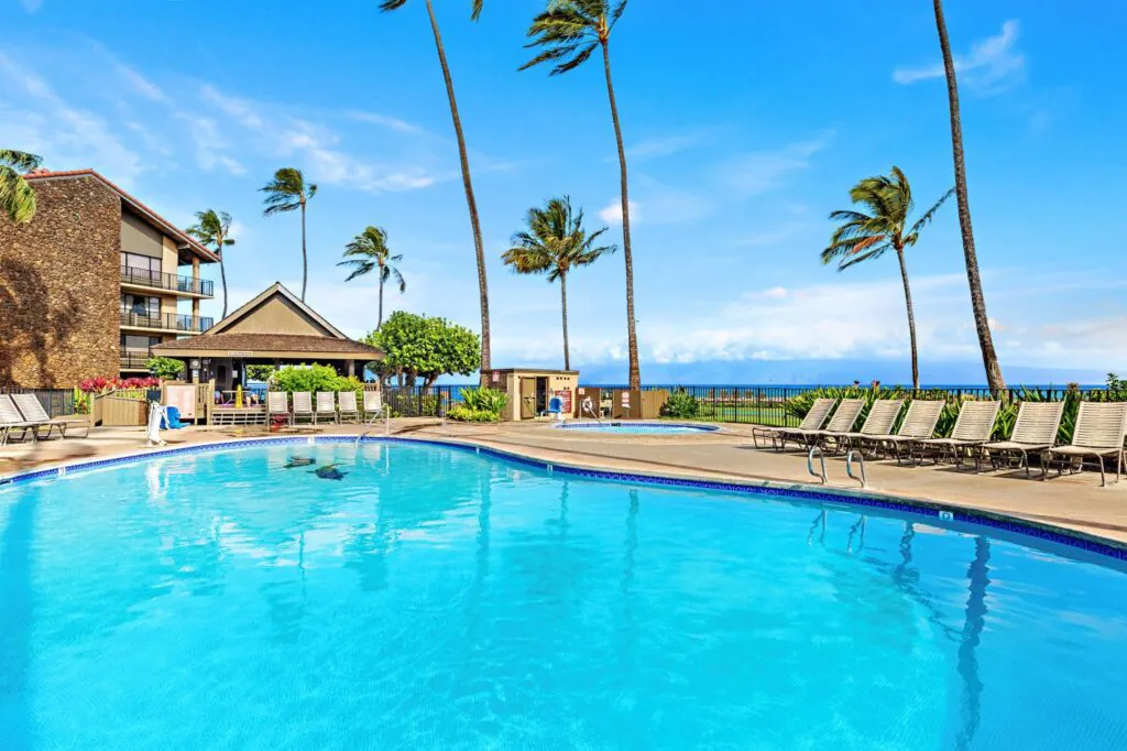 Resort pool with lounge chairs, palm trees, and ocean view under a bright blue sky with a few clouds.