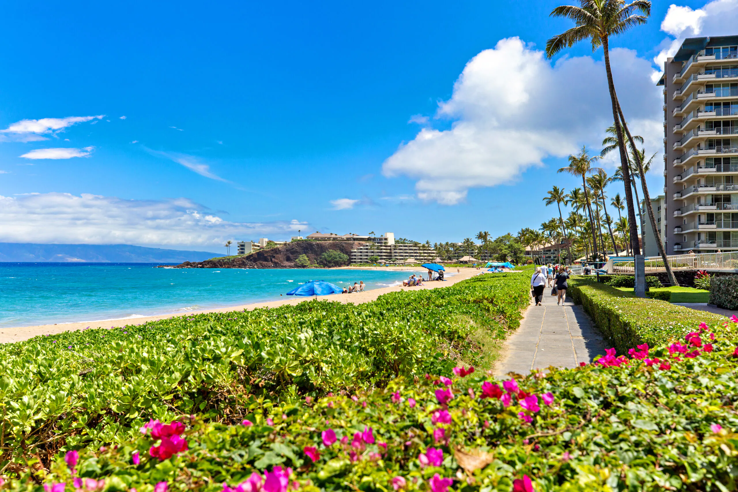Beachside path lined with flowers and palm trees, with people walking, blue umbrellas on the sandy shore, and buildings in the distance under a bright sky.